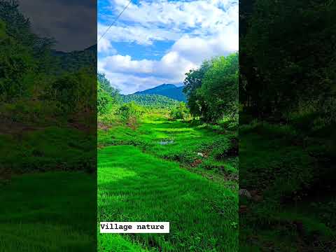 Village nature