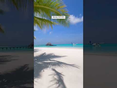 Discover the Maldives through lens, where every moment feels like paradise.