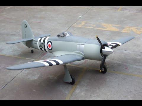 Hawker Sea Fury - RC plane