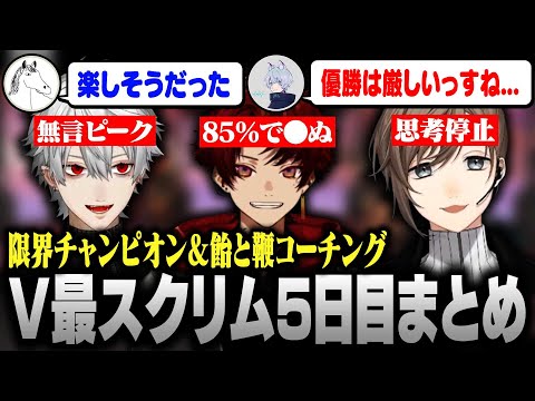 【#V最協S6】V最スクリム5日目まとめ｜w/葛葉 柊ツルギ YukaF Taida【にじさんじ/叶/切り抜き/APEX】