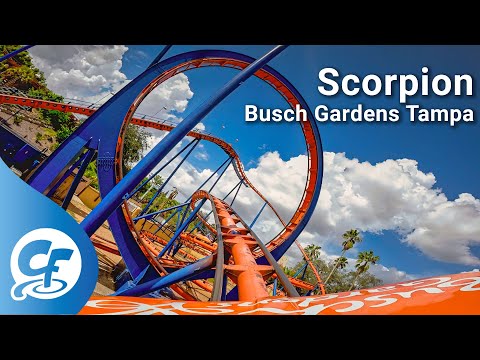 Scorpion front seat on-ride 5K POV @60fps Busch Gardens Tampa