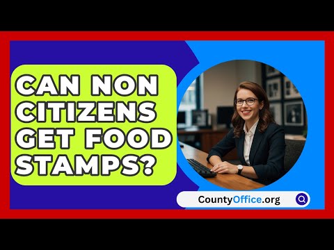 Can Non Citizens Get Food Stamps? - CountyOffice.org