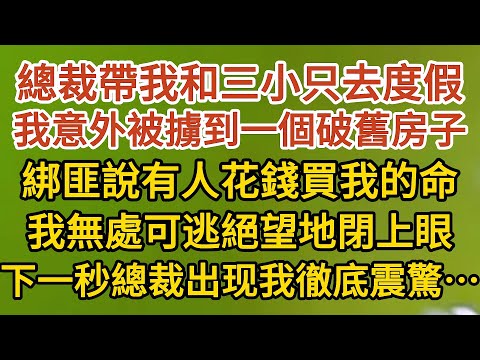 《藏起孕肚出逃》第12集： 總裁帶我和三小只去度假，我意外被擄到一個破舊房子，綁匪說有人花錢買我的命，我無處可逃絕望地閉上眼，下一秒總裁出现我徹底震驚……#婚姻#情感 #愛情#甜寵#故事#小說#霸總