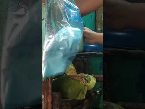 freshly cut BUKO juice pH street food #satisfying #bukojuice #streetfood #youtubeshorts #Gatchie Jr