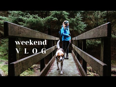 Cold Water Swimming & Woodland Walking with Heather // VLOG