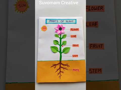 Parts of Tree Model | Parts of Plant project | Science Project | #youtubeshorts #shorts #tree