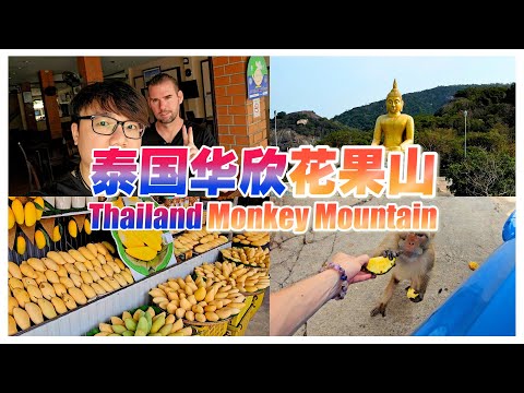 泰国华欣 “花果山” | 空拍机撞树 | 海滩粉系餐厅 | 大金佛像 HuaHin Monkey Mountain | Secret Beach Cafe | Drone Crash #VLOG147