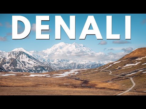 Denali National Park Guide: Green Bus Tour to Eielson Visitors Center, Grizzly Bears & More