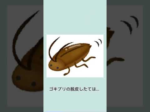 ゴキブリ関する雑学#おすすめにのりたい #雑学 #トリビア #ゴキブリ