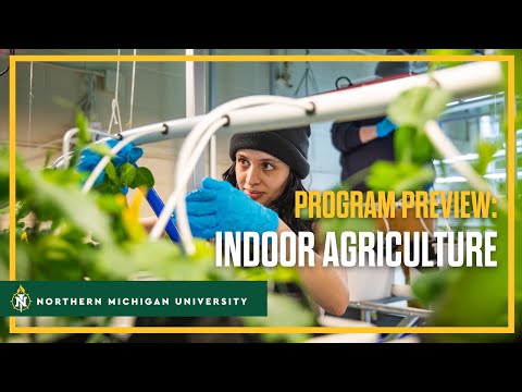 NMU's Indoor Agriculture Program