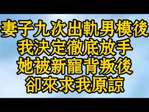 妻子九次出軌男模後，我決定徹底放手，她被新寵背叛後卻來求我原諒