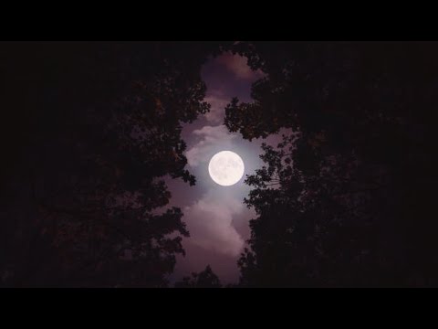 Kestasy - THE FALL [Official Visualizer]