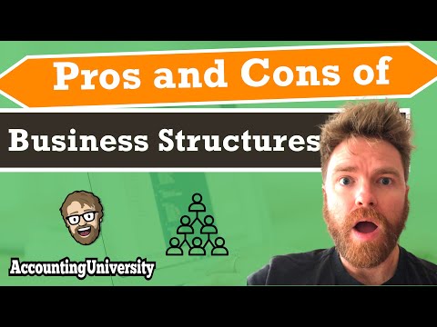 Pros and Cons of Business Structures [Which is the Best?]