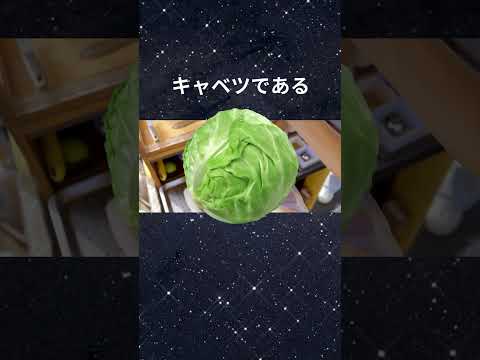 【雑学】#雑学#ASMR#面白い雑学ためになる雑学！#shots