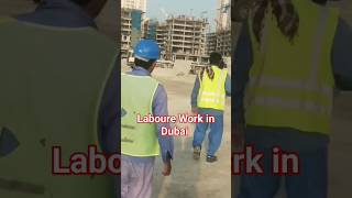 Labour Work in Dubai | Construction work in Dubai #labourwork  #construction