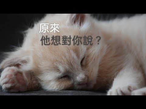 塔羅占卜😚原來他想對你說？