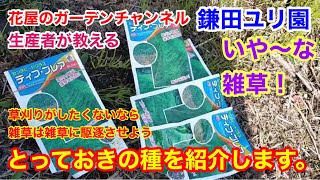 本当に草で草刈りしなくてよくなる？