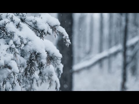 eyelove - snowfall (official music video)