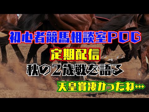 #初心者競馬相談室POG 定期配信 22年11月号 天皇賞の話もするよ