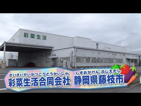 THE POWER OF ELECTRICITY ～電気の力で、未来をつなぐ～File No.002 エネルギー×食料の安定供給～野菜工場～