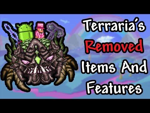 Terraria's Removed items and Features