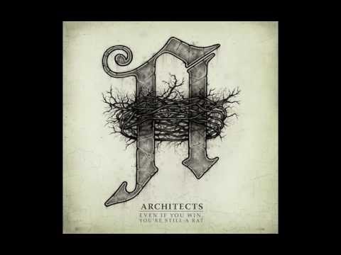 Architects - Even If You Win, You're Still A Rat