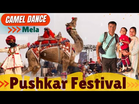 Pushkar Mela 2024 || Pushkar Camel Dance || Pushkar Camel Safari  #Pushkar