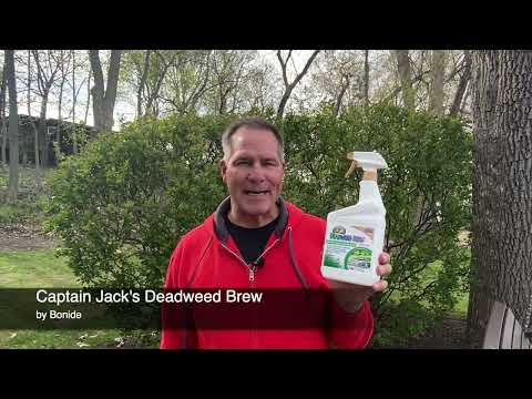 Control Weeds in Your Lawn & Garden -  Captain Jack's Deadweed Brew | HouseSmarts