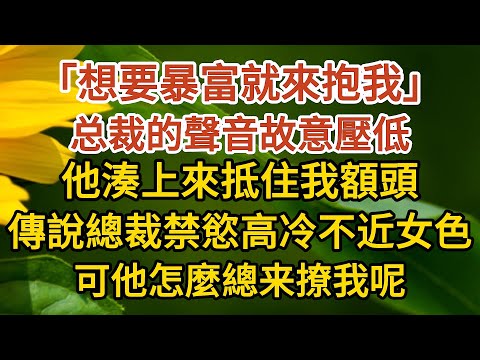 《闪婚总裁》第02集：「想要暴富就來抱我」，总裁故意壓低聲音，他湊上來抵住我額頭，傳說總裁禁慾高冷不近女色，可他怎麼總来撩我呢#愛情 #婚姻 #情感故事 #故事 #情感