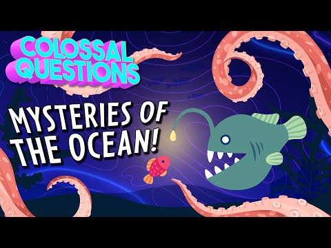 Secrets of the Deep! The Ocean's Greatest Mysteries! | COLOSSAL QUESTIONS