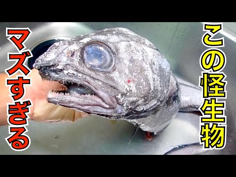 水深1000mから全身がゼリー状の怪魚を釣って食べる