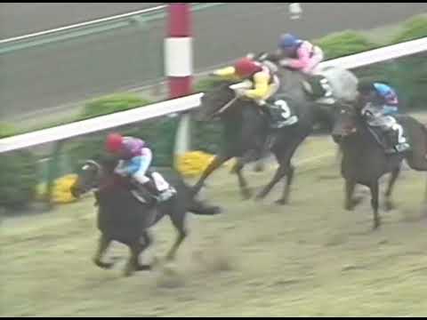 ヤマニンゼファー 1991年 第5回夕刊フジ賞 クリスタルカップ(GIII) (優勝馬：カリスタグローリ)(実況：ラジオたんぱ)