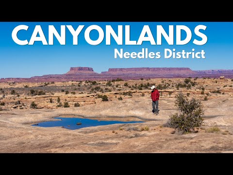 Canyonlands National Park | Needles District | Cave Springs, Pothole Point & Wooden Shoe Arch