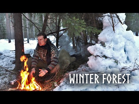 Would You Sleep in a SNOW SHELTER?❄️Winter Camping & Bushcraft: Minimal Gear