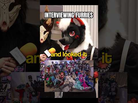 INTERVIEWING FURRIES #furry #furries #fursuiters