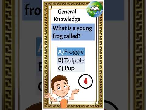 General Knowledge quiz | GK questions and answers | Trivia Questions | GK Quiz | GK Questions #short