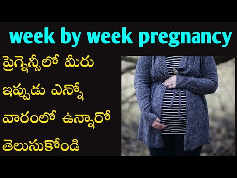 week by week during pregnancy in telugu #weekbyweek #pregnancyupdate