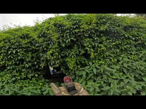 Area49: 08/06/2024 Round 6(Airsoft Gameplay, FOG)