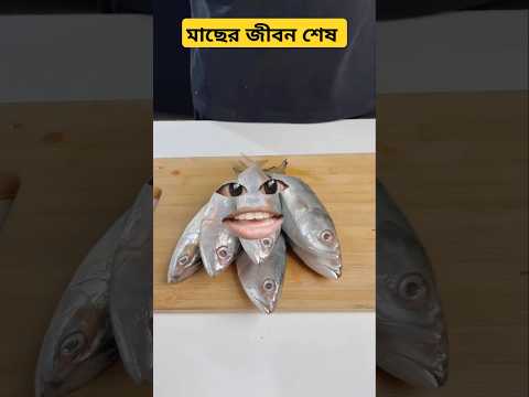 মাছের জীবন শেষ #food #stupidfamily #viral #comedy #shorts #funny