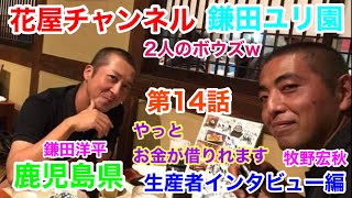 【花屋チャンネル】やっとお金が借りれる‼️生産者インタビュー‼️鹿児島県の百合農家‼️鎌田洋平さんの開業話#鎌田ユリ園#百合農家#オリエンタル#百合#鹿児島#鎌田洋平#生産者#ユリ