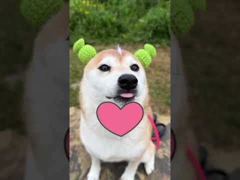 Top 5 Gubgub moments 🥰 (Top 10 goobie woobies)