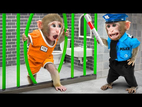 KiKi Monkey escape Impossible Prison Maze Challenge and Police Chase | KUDO ANIMAL KIKI