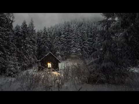 A cabin in the snowy forest ❄️❄️☃️☃️