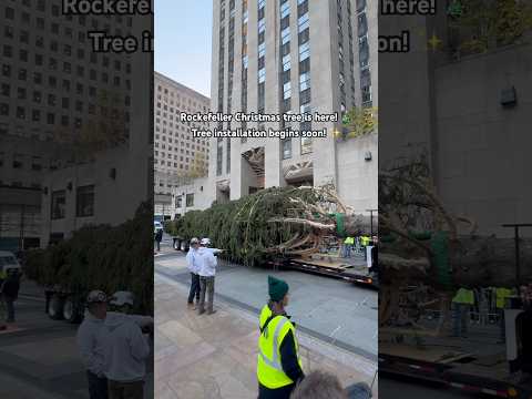 Rockefeller Christmas Tree 2024! 🎄✨ #rockefellercenter