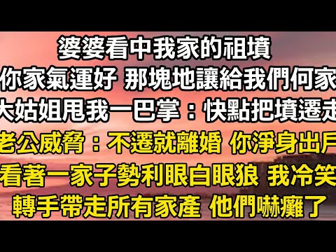 婆婆看中我家的祖墳，你家氣運好 那塊地讓給我們何家，大姑姐甩我一巴掌：快點把墳遷走，老公威脅：不遷就離婚 你淨身出戶，看著一家子的勢利眼白眼狼 我冷笑，轉手帶走所有家產 #翠花的秘密#婆媳#家庭故事