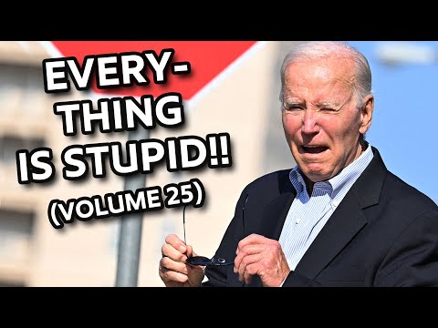 EVERYTHING IS STUPID!!! (VOL. 25 of 1000)