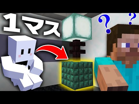 かくれんぼで1マスに隠れたらガチで最強すぎて全然バレない【マインクラフト】