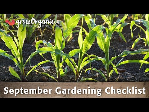 September Gardening Checklist - 25 Organic Gardening Tips to Get You Through September