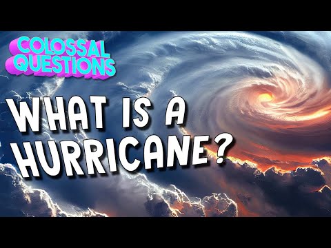 What is a Hurricane? | COLOSSAL QUESTIONS