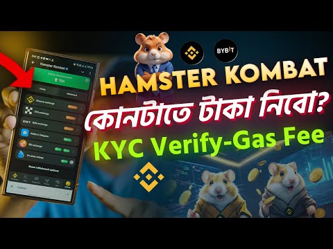 Hamster Kombat কোনটাতে টাকা নিবো? KYC Verify। Gas Fee । Hamster Kombat withdraw update